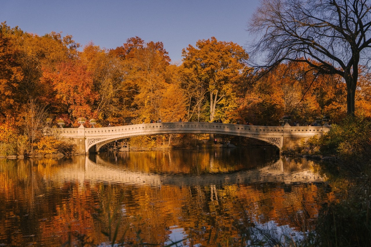 an idyllic bride over a river in the fall