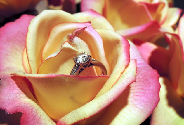 Round Cut Engagement Ring at Theme Park