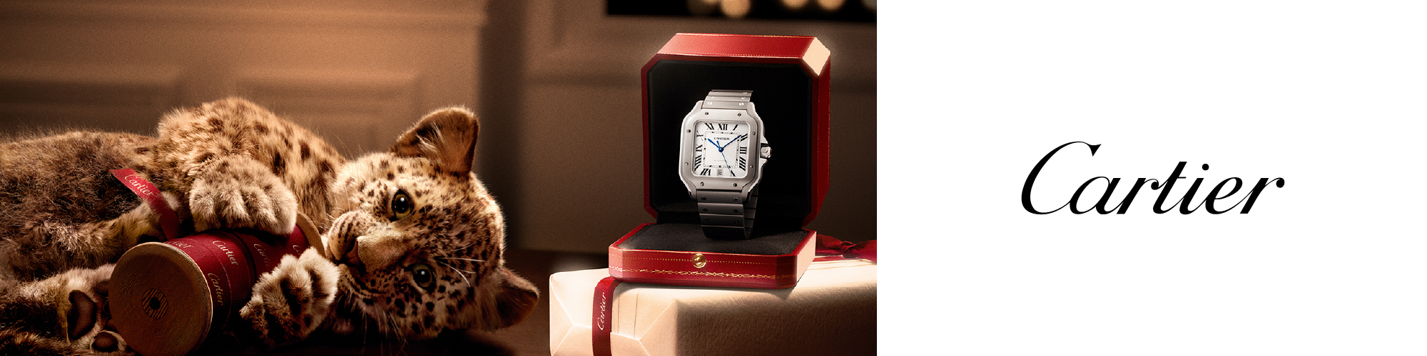 Cartier Banner Cartier Banner