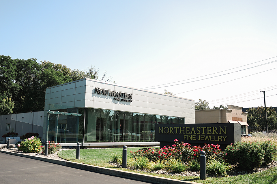 Jewelry Store In Albany